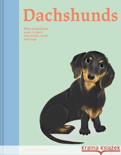 Dachshunds: What Dachshunds want: in their own words, woofs and wags  9781849948401 Batsford