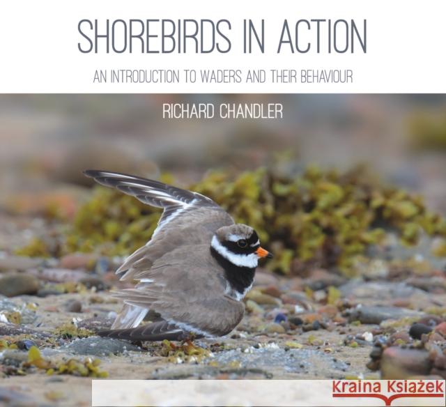 Shorebirds in Action: An Introduction to Waders and Their Behaviour Richard Chandler 9781849953559