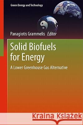 Solid Biofuels for Energy: A Lower Greenhouse Gas Alternative Grammelis, Panagiotis 9781849963923