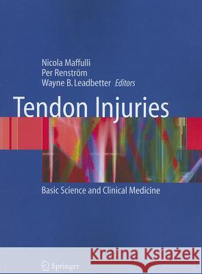 Tendon Injuries: Basic Science and Clinical Medicine Maffulli, Nicola 9781849968775 Not Avail