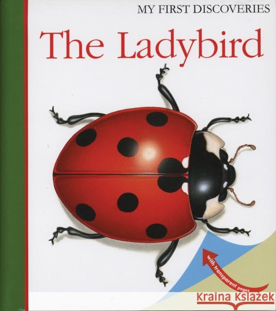 The Ladybird Pascale de Bourgoing 9781851033843 Moonlight Publishing Ltd