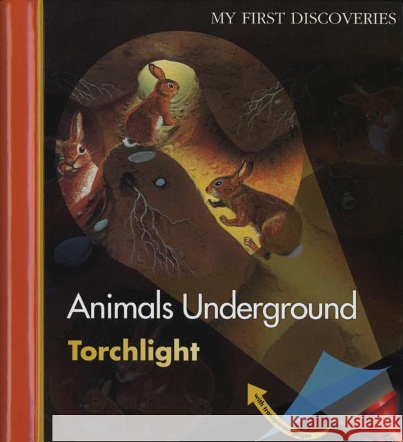 Animals Underground Claude Delafosse, Daniel Moignot, Sarah Gibson 9781851034086 Moonlight Publishing Ltd