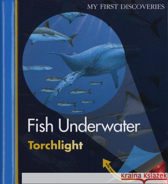 Fish Underwater Pierre D Pierre D 9781851034093 Moonlight Publishing Ltd