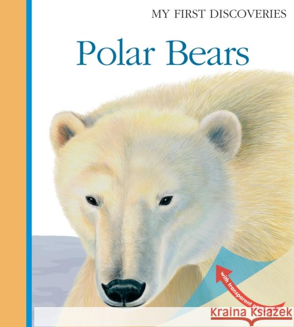 Polar Bears Laura Bour, Laura Bour, Penelope Stanley-Baker 9781851034185 Moonlight Publishing Ltd