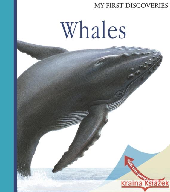 Whales Ute Fuhr Raoul Sautai 9781851034253 Moonlight Publishing