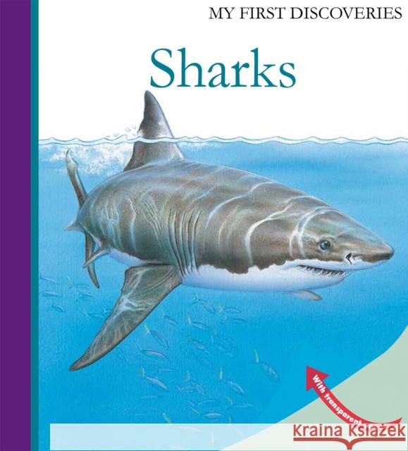 Sharks Ute Fuhr Raoul Sautai 9781851034284 Moonlight Publishing Ltd