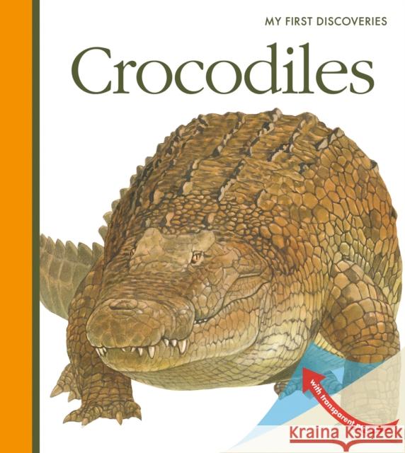 Crocodiles Sylvaine Peyrols, Sylvaine Perols 9781851034727 Moonlight Publishing Ltd