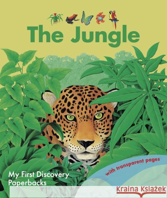 The Jungle Rene Mettler 9781851037629 Moonlight Publishing Ltd