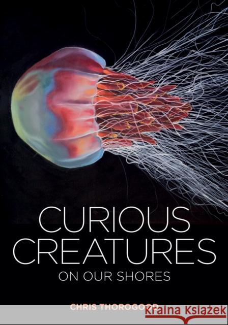 Curious Creatures on our Shores Chris Thorogood 9781851245345