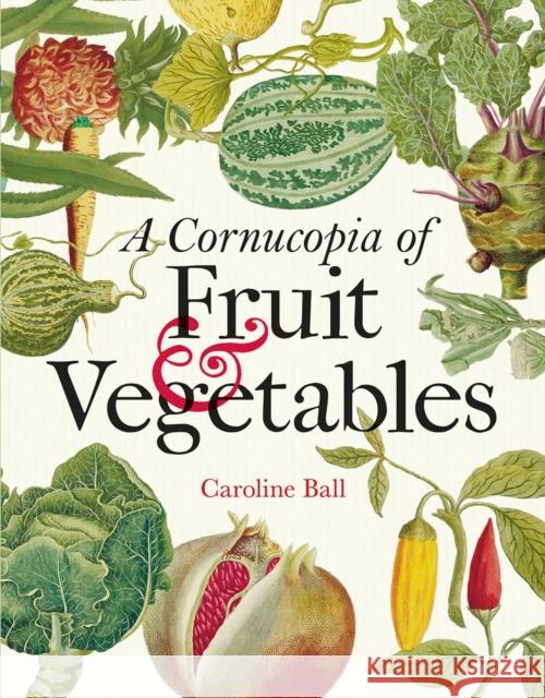 Cornucopia of Fruit & Vegetables, A: Illustrations from an eighteenth-century botanical treasury Caroline Ball 9781851245666 Bodleian Library