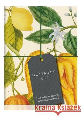 Botanical Art Notebook Set: 3 A5 ruled notebooks with stitched spines Bodleian Library 9781851245697 Bodleian Library