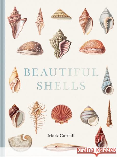 Beautiful Shells Mark Carnall 9781851246168 Bodleian Library