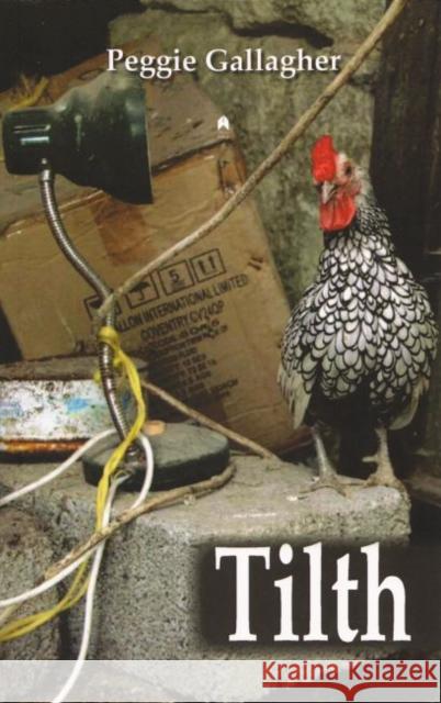 Tilth Peggie Gallagher 9781851320721 Syracuse University Press Distributed for Arl