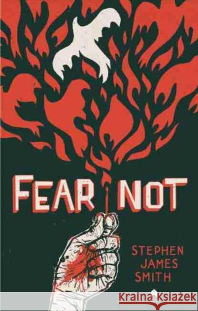 Fear Not Stephen J. Smith 9781851321445