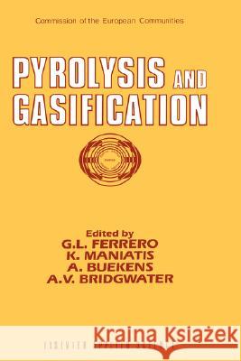 Pyrolysis and Gasification G. L. Ferrero K. Maniatis A. Buekens 9781851664498 Springer