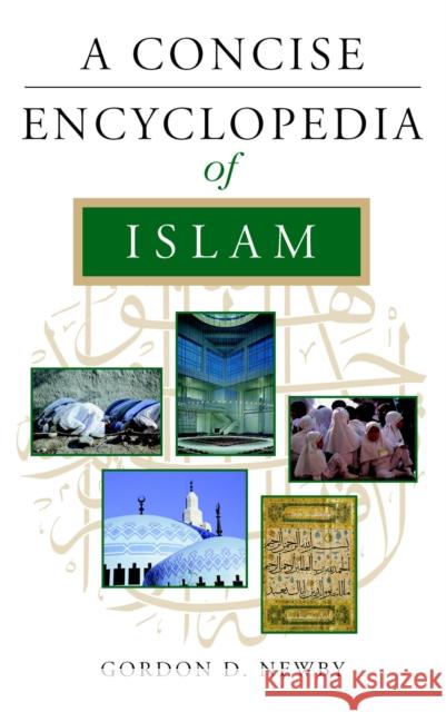 A Concise Encyclopedia of Islam Gordon Newby 9781851682959