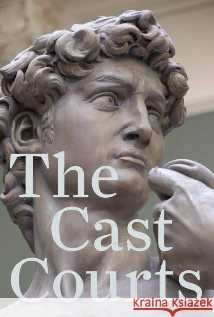 The Cast Courts Angus Patterson Marjorie Trusted  9781851779796