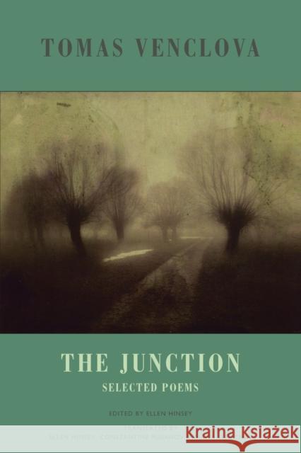 The Junction: Selected Poems Venclova, Tomas 9781852248109