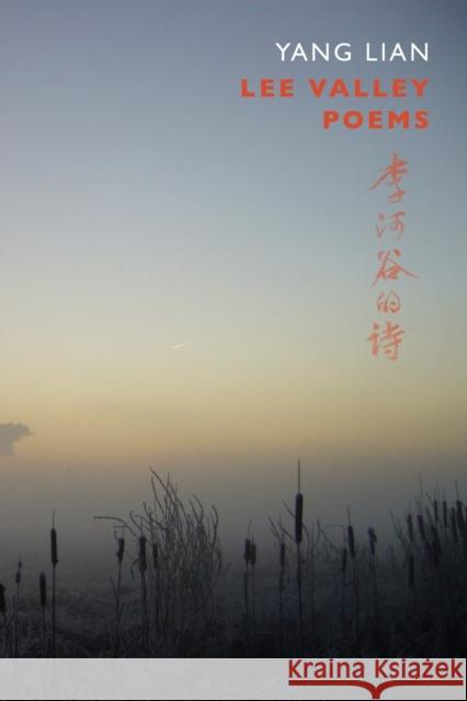 Lee Valley Poems Yang Lian 9781852248345