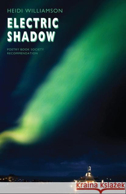 Electric Shadow Heidi Williamson 9781852249021