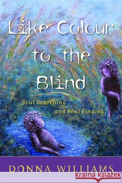 Like Colour to the Blind : Soul Searching and Soul Finding Donna Williams 9781853027208 Jessica Kingsley Publishers
