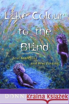 Like Colour to the Blind : Soul Searching and Soul Finding Donna Williams 9781853027208 Jessica Kingsley Publishers