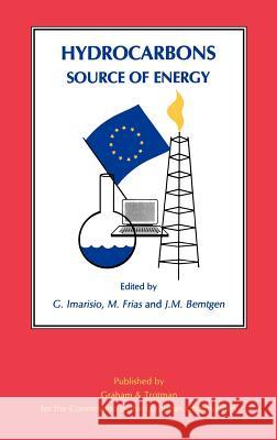 Hydrocarbons: Source of Energy G. Imarisio M. Frias J. M. Bemtgen 9781853332876 Springer
