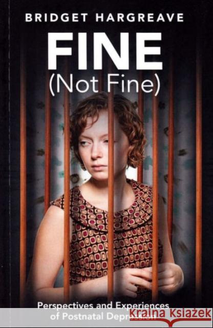 Fine (Not Fine): Perspectives and Experiences of Postnatal Depression Bridget Hargreave 9781853432200 Free Association Books