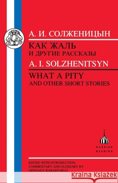 Solzhenitsyn: What a Pity Solzhenitsyn, Aleksandr 9781853994258 Duckworth Publishers
