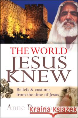 The World Jesus Knew: Beliefs and Customs from the Time of Jesus Punton, Anne 9781854249470 LION HUDSON PLC