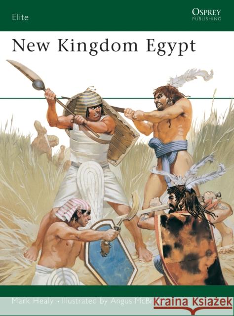 New Kingdom Egypt Mark Healy Angus McBride 9781855322080