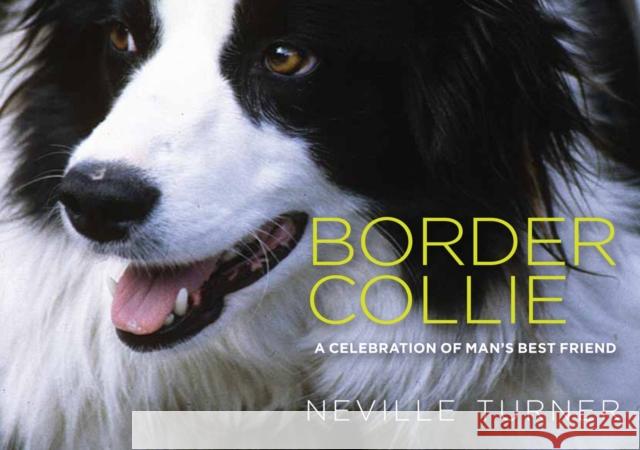 Border Collie Neville Turner 9781855683303 Dalesman Publishing Co Ltd