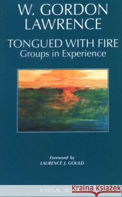 Tongued with Fire: Groups in Experience W. Gordon Lawrence W. Gordon Lawrence 9781855752245 Karnac Books