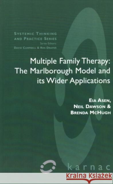 Multiple Family Therapy : The Marlborough Model and Its Wider Applications Eia Asen Neil Dawson Brenda McHugh 9781855752771
