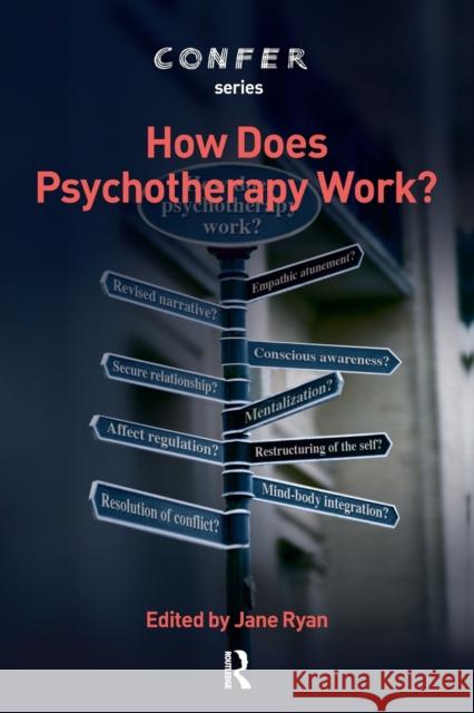 How Does Psychotherapy Work? Jane Ryan 9781855753068 Karnac Books