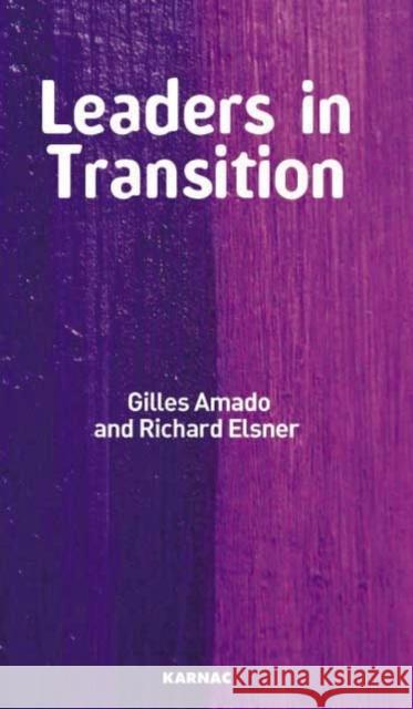 Leaders and Transitions: The Tensions at Work as New Leaders Take Charge Gilles Amado 9781855754621 0