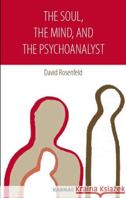 The Soul, the Mind, and the Psychoanalyst David Rosenfeld 9781855754706