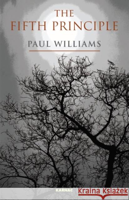The Fifth Principle Paul Williams 9781855757899 Karnac Books