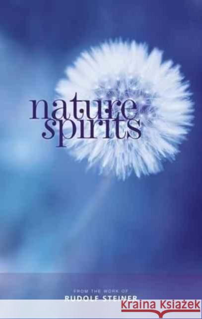 Nature Spirits Rudolf Steiner 9781855845305 Rudolf Steiner Press