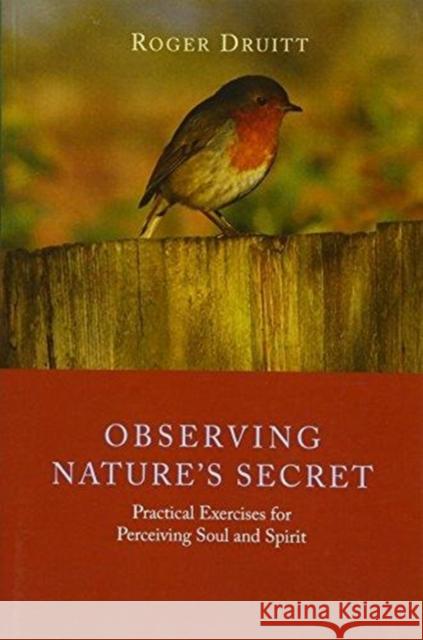 Observing Nature's Secret: Practical Exercises for Perceiving Soul and Spirit Roger Druitt 9781855845466 Rudolf Steiner Press