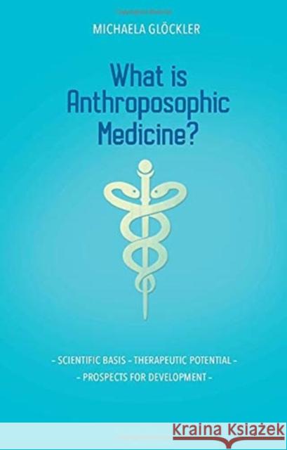 What is Anthroposophic Medicine?: Scientific basis – Therapeutic potential – Prospects for development Michaela Glockler 9781855845732