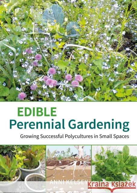 Edible Perennial Gardening: Growing Successful Polycultures in Small Spaces Anni Kelsey 9781856231497 Permanent Publications