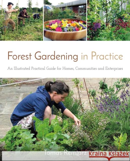 Forest Gardening in Practice: An Illustrated Practical Guide for Homes, Communities and Enterprises Tomas Remiarz 9781856232937 Permanent Publications