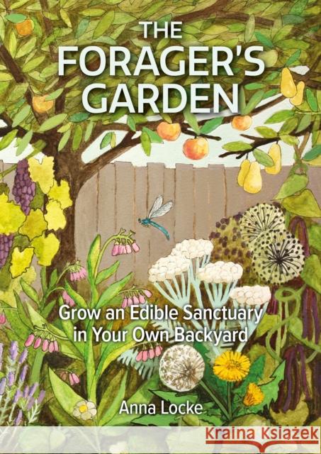 The Forager's Garden Anna Locke 9781856233071 Permanent Publications