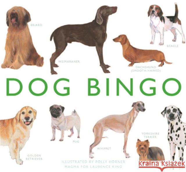 Dog Bingo Polly Horner 9781856699679