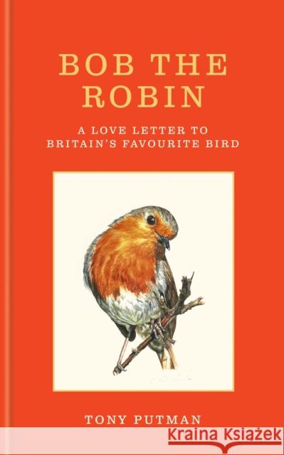 Bob the Robin: A love letter to Britain’s favourite bird Tony Putman 9781856755313 Octopus Publishing Group