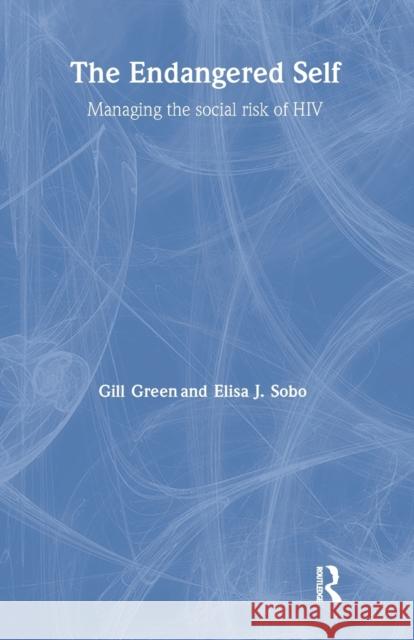 The Endangered Self: Identity and Social Risk Green, Gill 9781857289107 Routledge