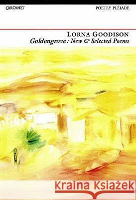 Goldengrove : New and Selected Poems Lorna Goodison 9781857548488 CARCANET PRESS LTD