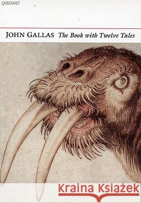 The Book with Twelve Tales Gallas, John 9781857548754 0