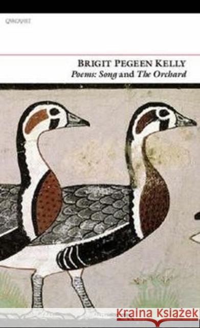 Poems : Song and the Orchard Brigit Pegeen Kelly 9781857549799 CARCANET PRESS LTD